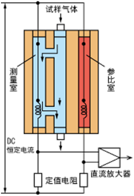 SIcEx-100氢气分析仪测量原理